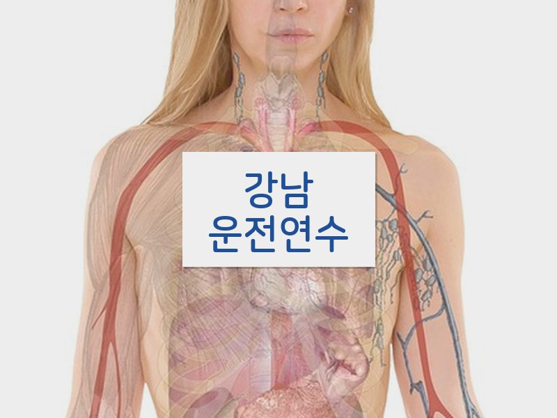 강남운전연수 후기