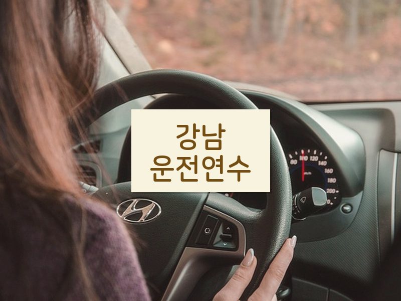 강남운전연수 후기