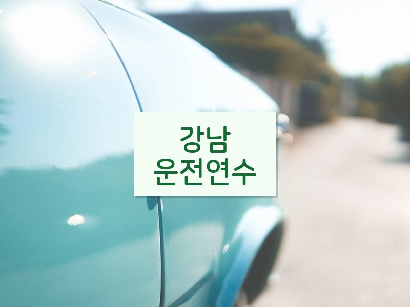 강남운전연수 후기