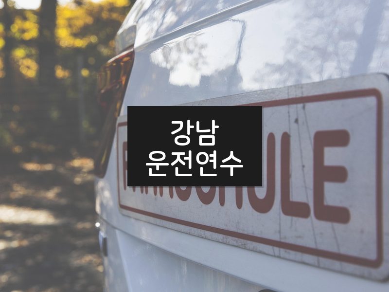 강남운전연수 후기