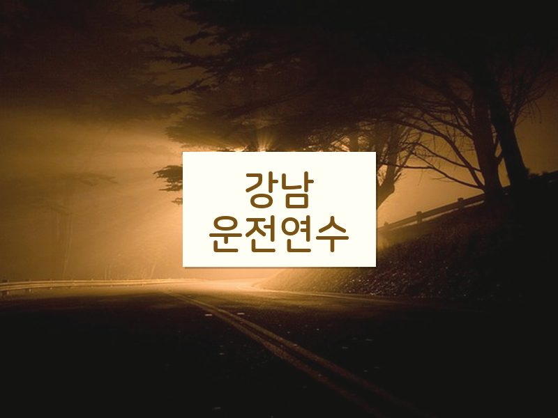 강남운전연수 후기