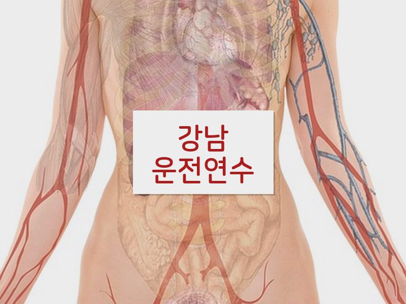 강남운전연수 후기