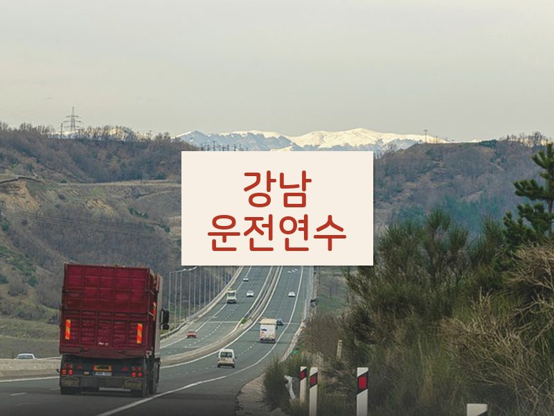 강남운전연수 후기