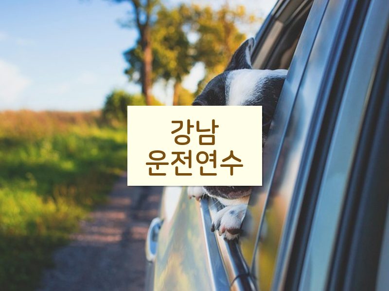 강남운전연수 후기