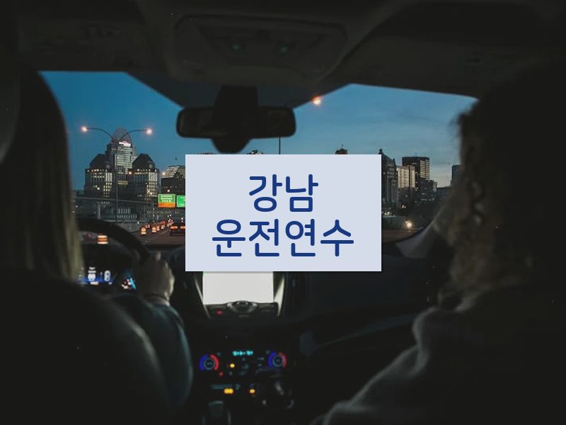 강남운전연수 후기