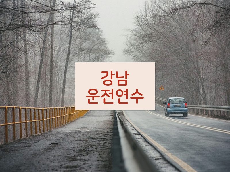 강남운전연수 후기