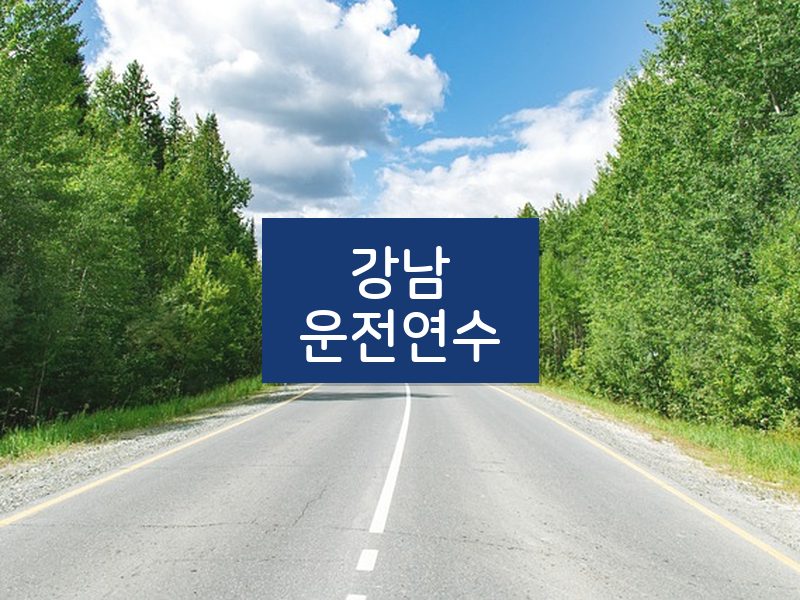강남운전연수 후기