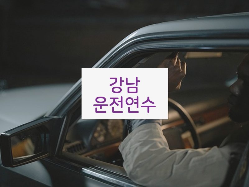 강남운전연수 후기