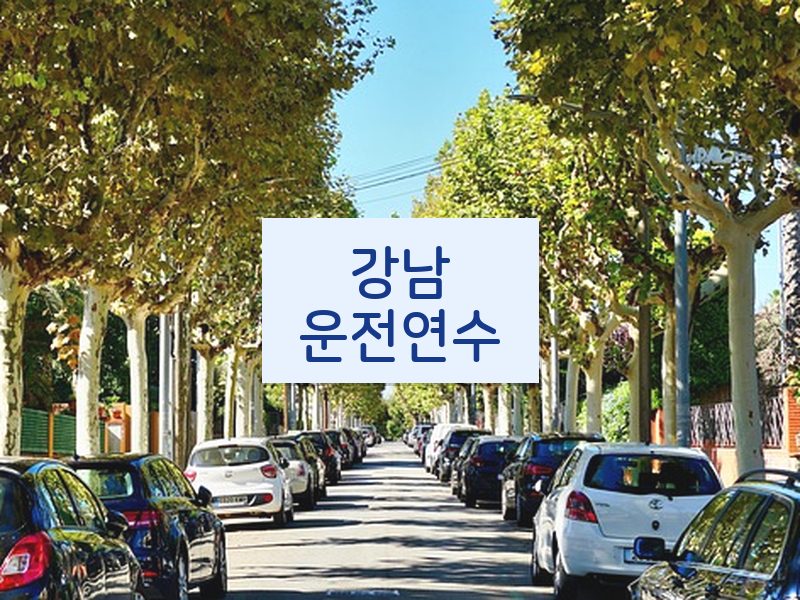 강남운전연수 후기