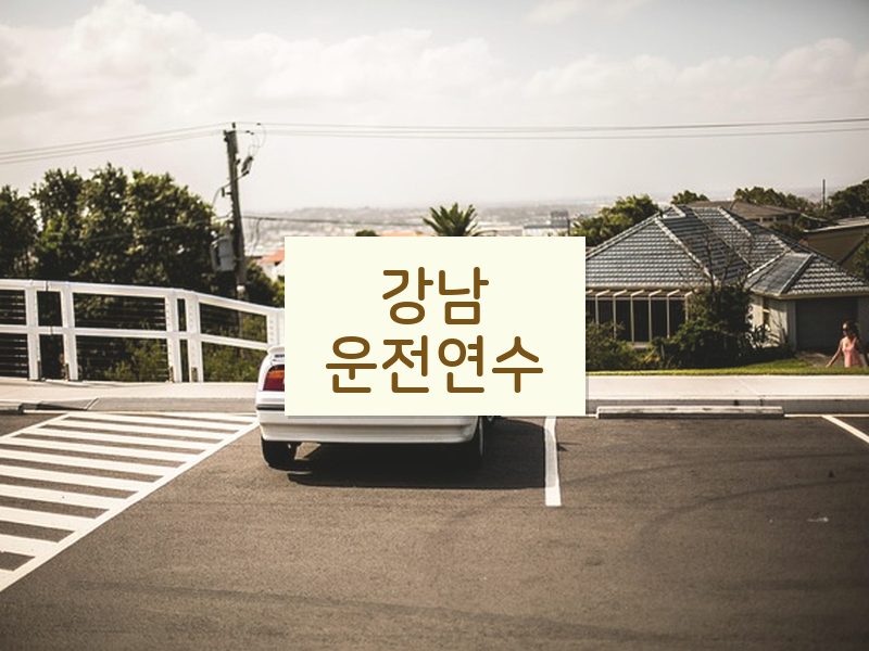 강남운전연수 후기