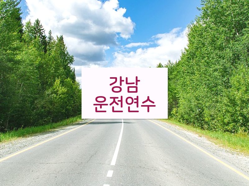 강남운전연수 후기