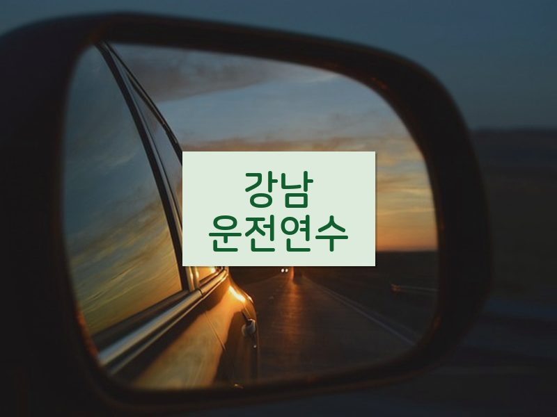 강남운전연수 후기