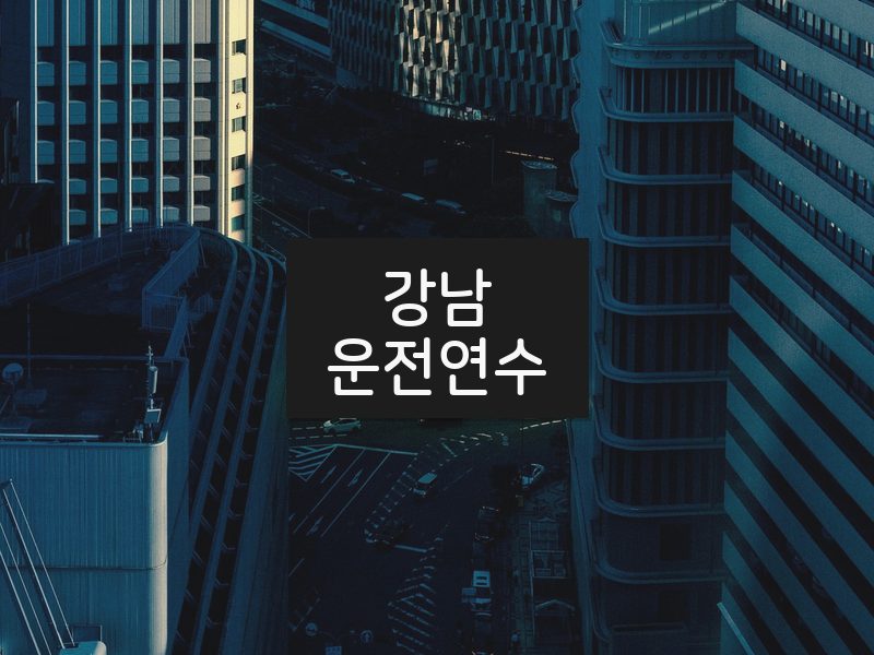 강남운전연수 후기