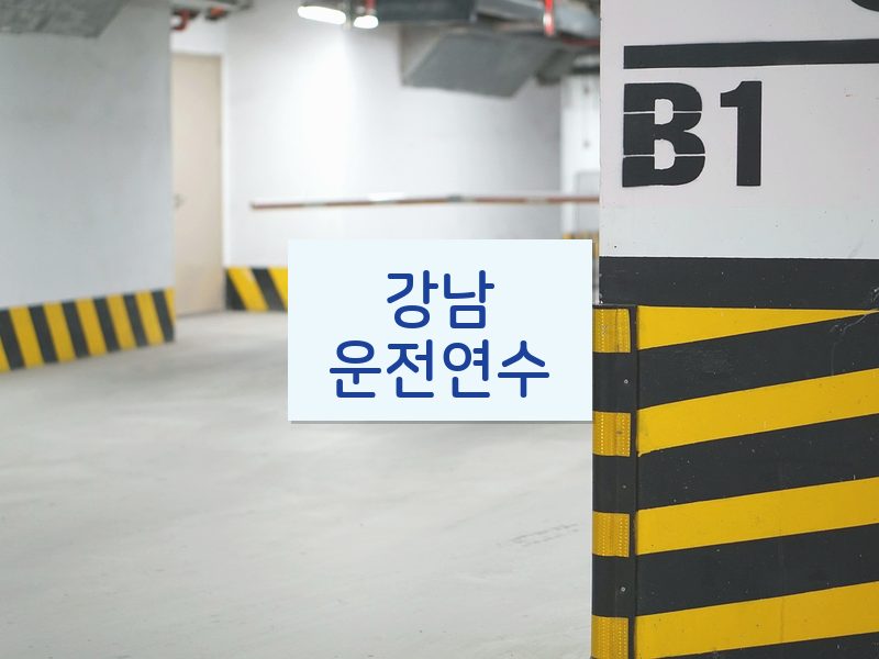 강남운전연수 후기