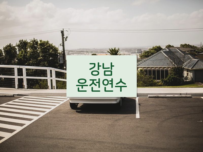 강남운전연수 후기