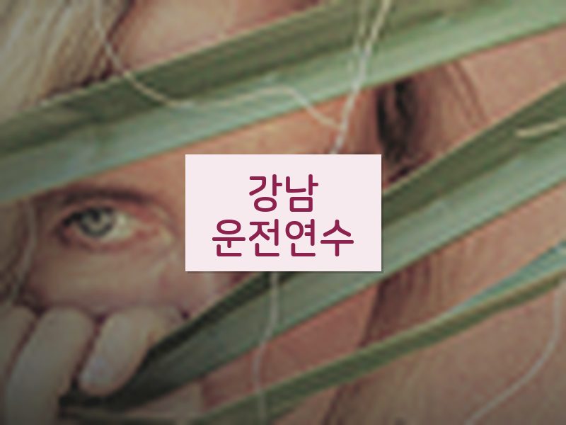 강남운전연수 후기