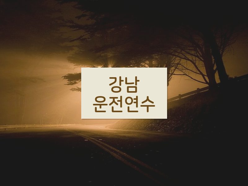 강남운전연수 후기