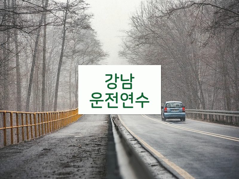 강남운전연수 후기