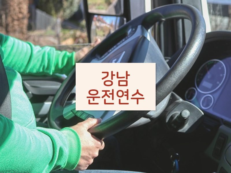 강남운전연수 후기