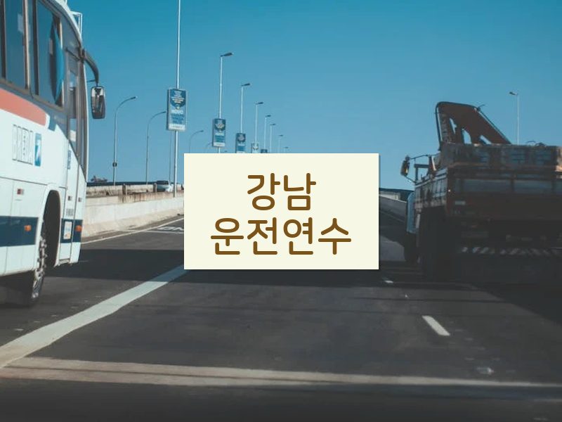 강남운전연수 후기