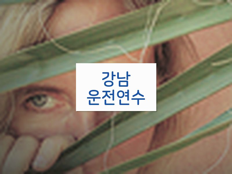 강남운전연수 후기