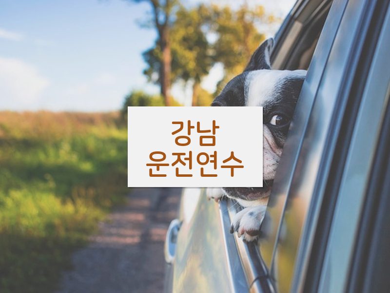 강남운전연수 후기