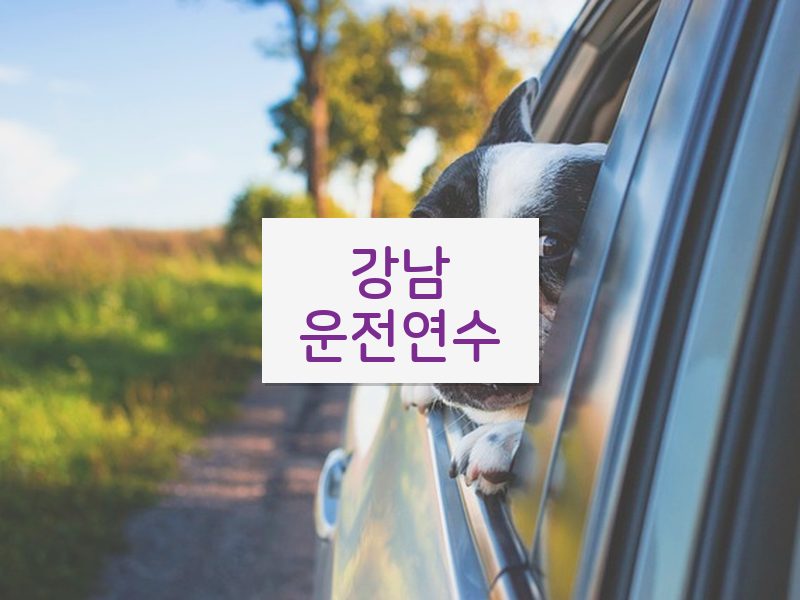 강남운전연수 후기