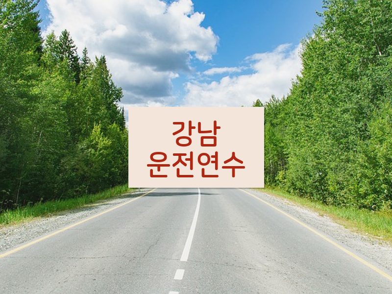 강남운전연수 후기