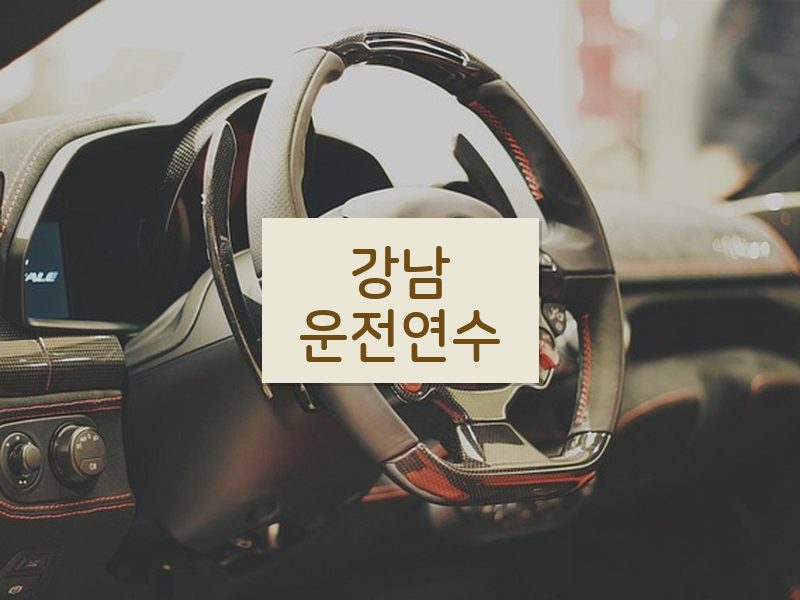 강남운전연수 후기