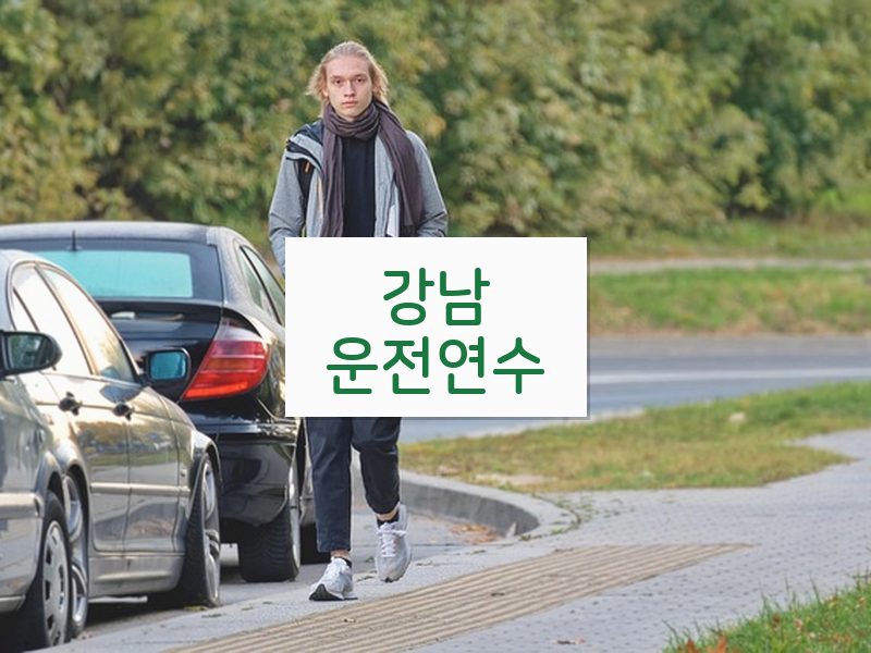 강남운전연수 후기
