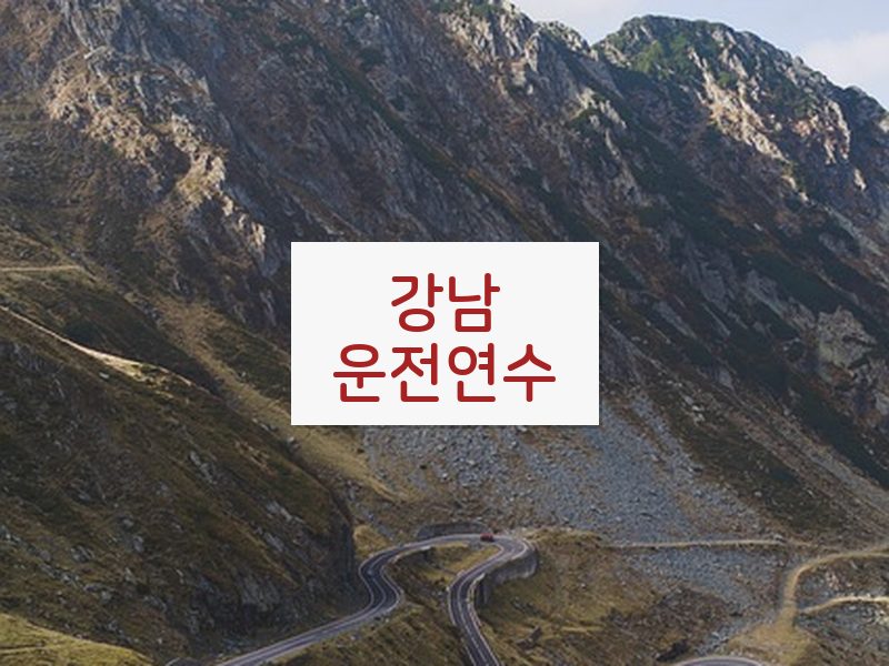 강남운전연수 후기