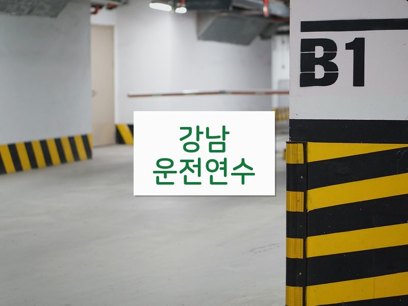 강남운전연수 후기