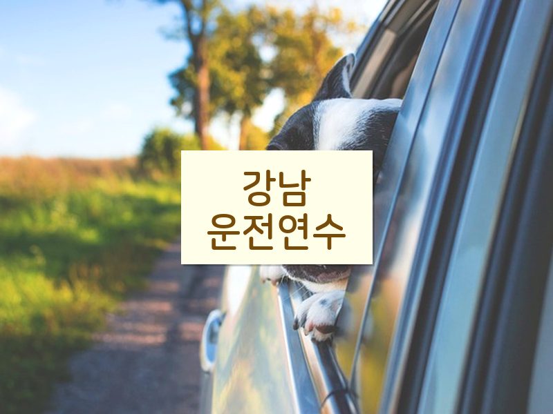 강남운전연수 후기