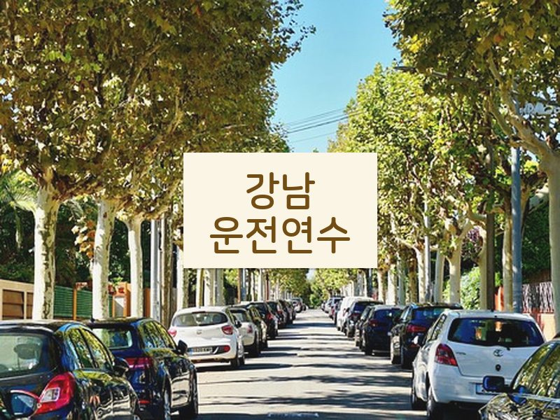 강남운전연수 후기