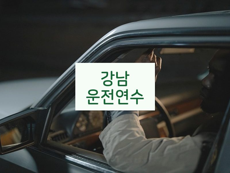 강남운전연수 후기