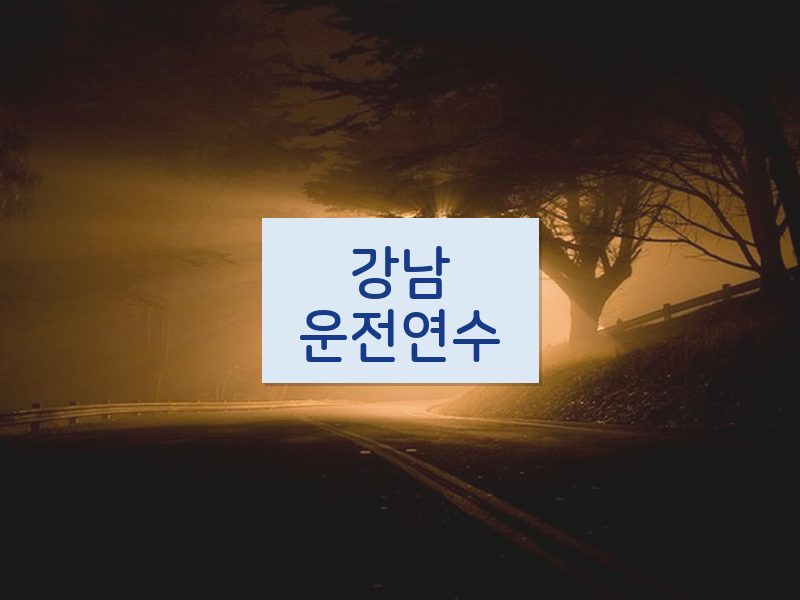 강남운전연수 후기