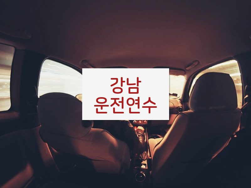 강남운전연수 후기