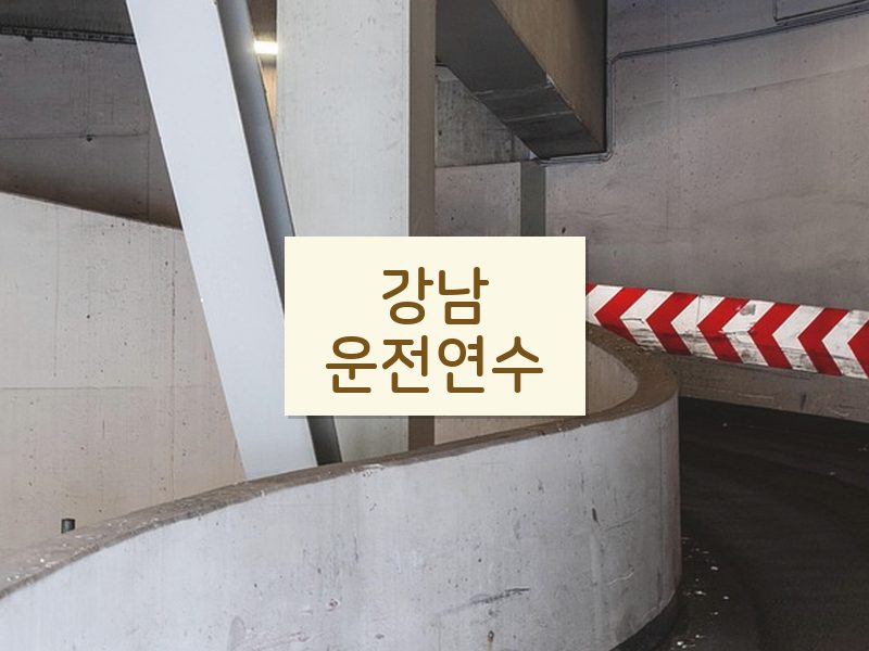 강남운전연수 후기