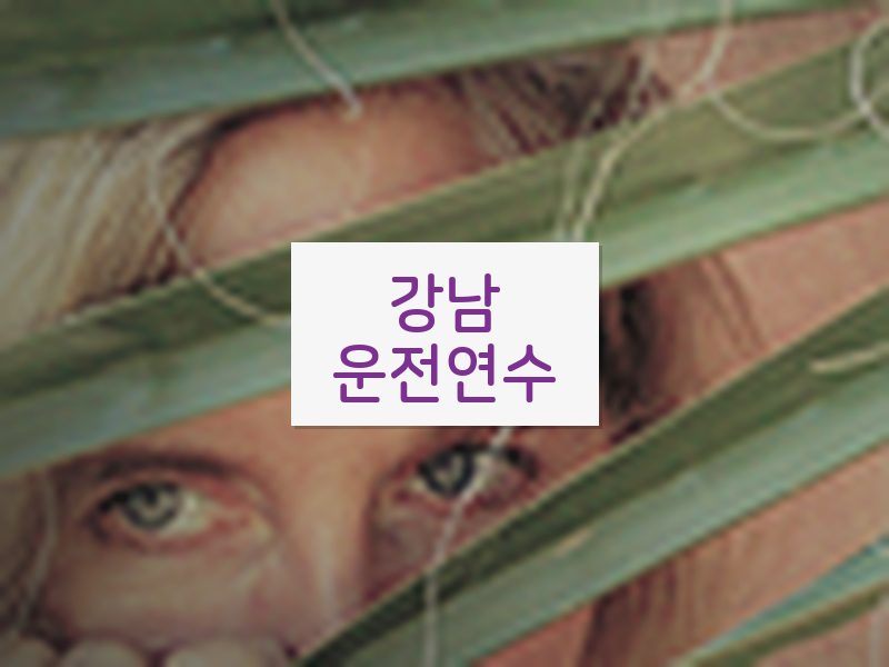 강남운전연수 후기