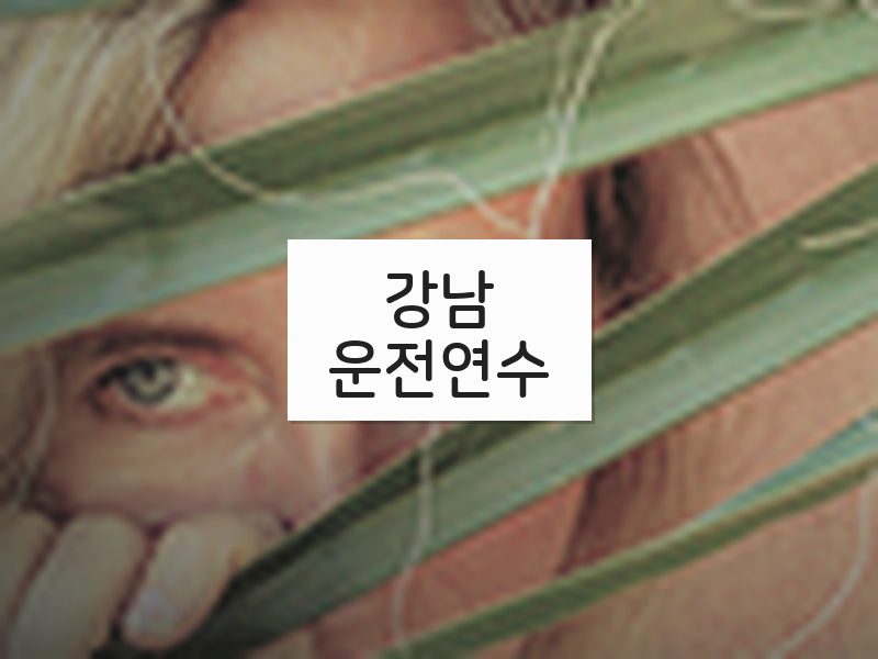 강남운전연수 후기