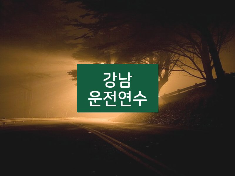 강남운전연수 후기