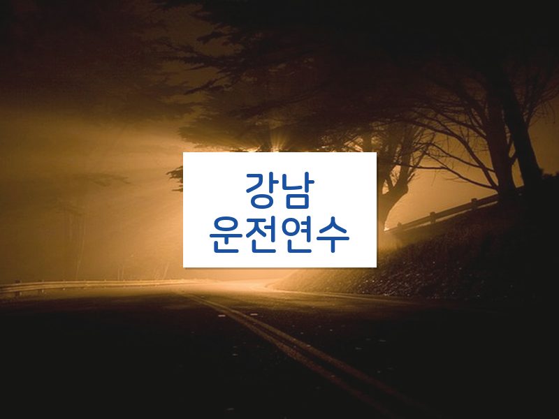 강남운전연수 후기