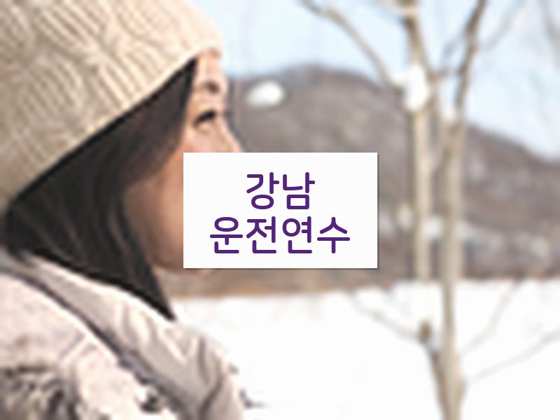 강남운전연수 후기