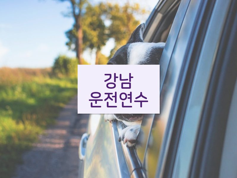 강남운전연수 후기