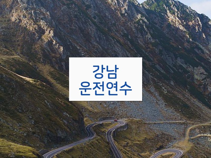 강남운전연수 후기