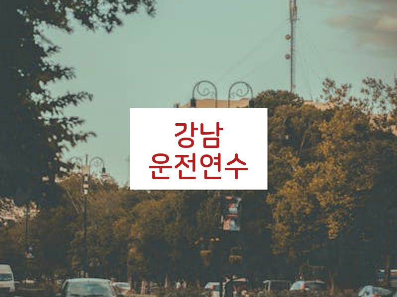 강남운전연수 후기