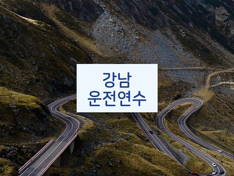 강남운전연수 후기