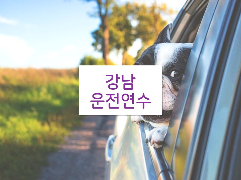 강남운전연수 후기