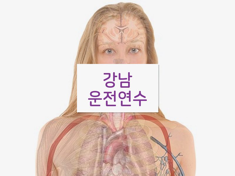 강남운전연수 후기