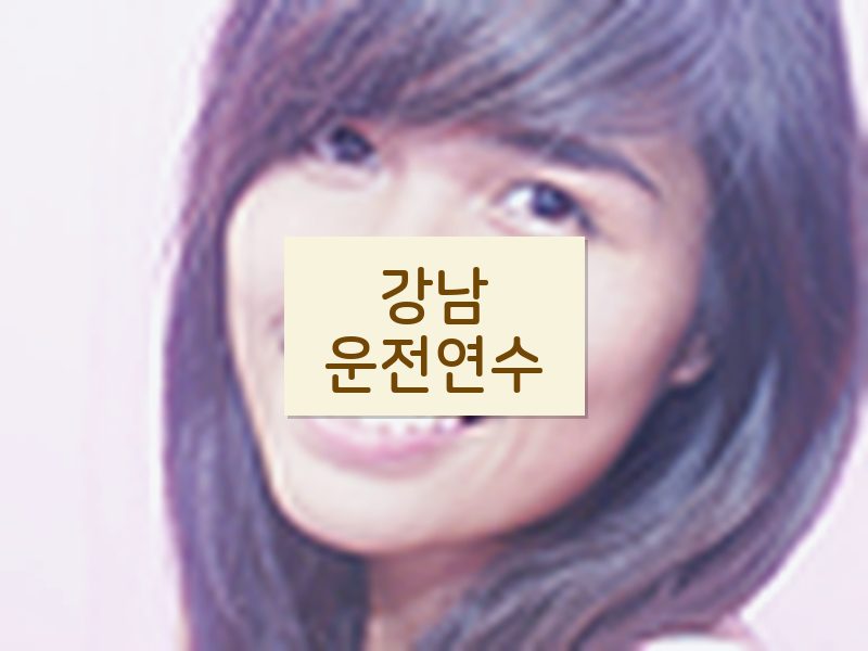 강남운전연수 후기